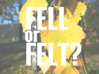 Fell or felt?